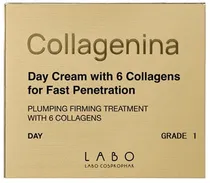 Tratamento de Dia Labo Cosprophar Day Cream With 6 Collagens Grade 1 - 50ML