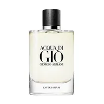 Perfume Masculino Giorgio Armani Acqua Di Giò 100ML
