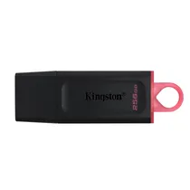 Pendrive Kingston Datatraveler Exodia DTX/256GB