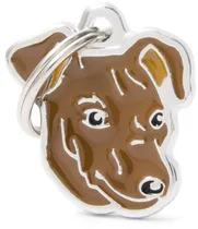 Medalha de Identificação Myfamily Friends Cão Pinscher Marrom MF26NBROWN