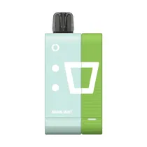 Kit Pod Descartável Elfbar EW9000 Miami Mint 9.000 Puffs