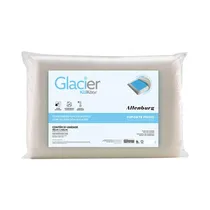 Almohada Altenburg Glacier 46 X 66 CM