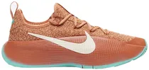 Tênis Nike FJ6151 200 Lebron TR 1 Masculino