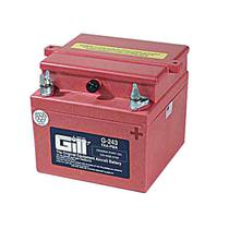 Gill Battery G243 DRY 24V 10AH 3QT