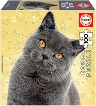 Quebra-Cabeça Educa Puzzle British Shorthair - 18807 (100 Peças)