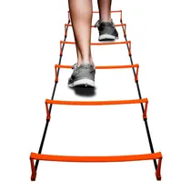 Escalera para Entrenamiento Set 6 Secciones
