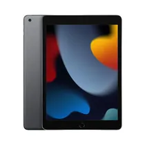 Apple iPad 9 TH Gen Wifi 256GB 10.2 MK2N3LL - Space Gray