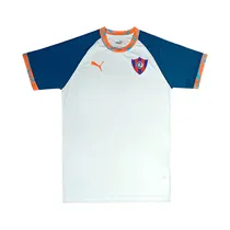 Remera Puma 658484CV02 Training Jersey