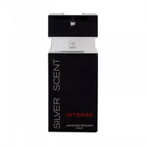 Tester Perfume Jacques Bogart Silver Intense Edt Masculino 100ML