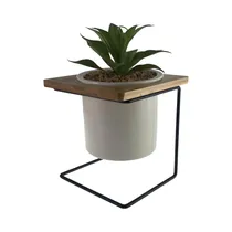 Planta En Maceta Concepts 567-49257 26 CM