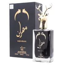 Perfume Masculino Aryan Mehran Edp 100ML