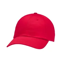 Gorra Under Armour 1369785-600 Team Blank