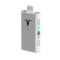 Vaper Descartável Ignite V250 Silver Cactus Lime