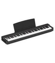 Yamaha P-225B