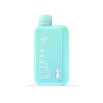 Pod Desc Elfbar BC (Se) 10.000 Puff - Miami Mint