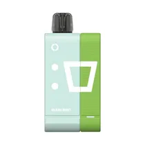 Pod Descartável Elfbar EW9000 Miami Mint