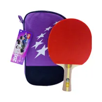 Paleta de Ping Pong DHS H2003