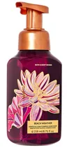Sabonete para Mãos Bath & Body Works Beach Weather - 259ML