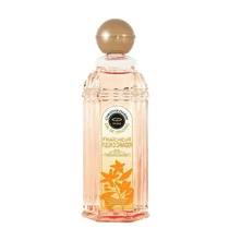Colonia Feminino Christine Darvin Fleur D'Orange Vapo 250ML