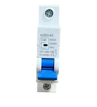 Inter. Disjuntor Monofásico 1POLO 40A(Circuit Breaker 1P40A)
