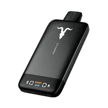 Vaper Descartável Ignite V155 Ultra Slim Grape Ice