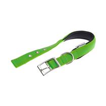 Collar para Perro Ferplast Daytona 25/53 Verde