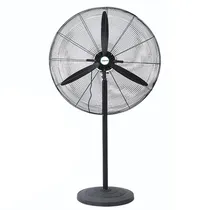 Ventilador de Pé Allwin 110V AL-650-1