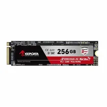 HD SSD M.2 Nvme 256GB Keepdata