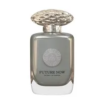 Perfume Unisex Auraa Desire Future Now 100ML