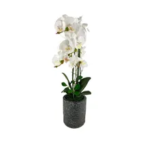 Orquídea Artificial En Maceta Concepts 592-470046 72 CM