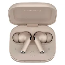 Fone de Ouvido Motorola Moto Buds+ XT-2441-1 Wireless - Cinza