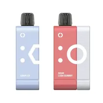 Pod Descartavel Elfbar Ew 9000 Puffs Kit - Sour Lush + Grape Ice