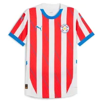 Remera Paraguay Puma Home Oficial L