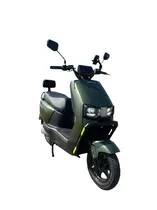 e-Moto Hayattech MS13 1000W