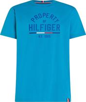 Camiseta Tommy Hilfiger MW0MW32641 DW5 - Masculina