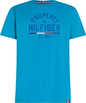 Camiseta Tommy Hilfiger MW0MW32641 DW5 - Masculina