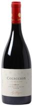 Vinho Apaltagua Coleccion Carignan 750 ML (2015)