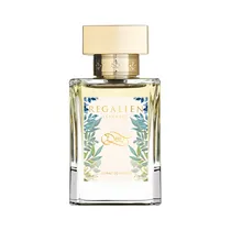 Regalien Dem 80ML Exdp