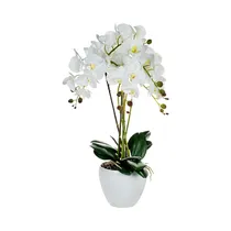 Orquídea Artificial En Maceta Concepts 456-55385 58 CM