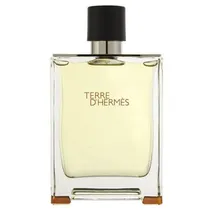 Perfume Hermes Terre D Hermes M 100ML Edt
