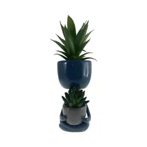 Planta En Maceta Concepts 567-49250 24 CM
