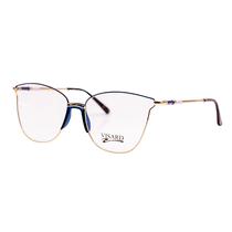 Armacao para Oculos de Grau RX Visard FL6009 54-15-140 C6 - Dourado/Azul/Marrom