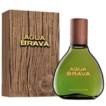 Colonia Masculina Puig Agua Brava 100ML
