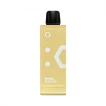 Dispositivo Descartavel Elf Bar Refill EW9000 Mango Peach Ice
