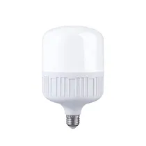 Lampada LED Inova e 27 604 40W Alta Potencia/White