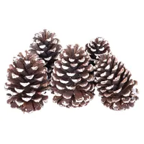 Pack 5 Pinheiros Natal Pontas Prateadas Emb. 35X12X8CM