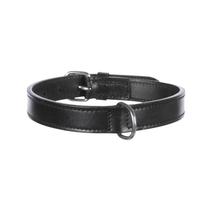 Collar para Perro Trixie 18251 39-46CM