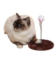 Juguete para Gato Con Detalle de Ratón