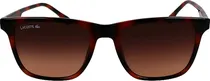 Óculos de Sol Lacoste L6041S-214 - Masculino