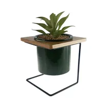 Planta En Maceta Concepts 567-49253 26 CM